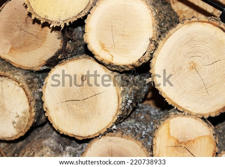 Stack of Logs
