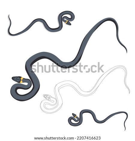Vector black grass snake with yellow spots on its head crawls and wriggles on a white background isolated