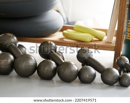 Dumbbells lined up in a training gym