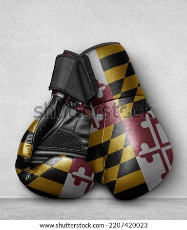 Maryland United States country State Boxing Gloves on flor with country flag painted on
