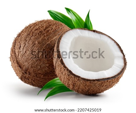 Coconut isolated. Coconuts with leaves on white background. Coconut. Coco half and leaf. Full depth of field. Perfect not AI coconut, true photo.