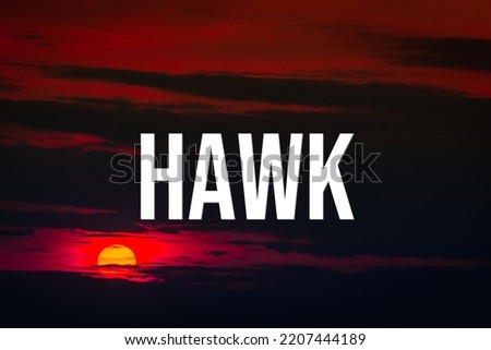 HAWK - word on the background of the sky with clouds.