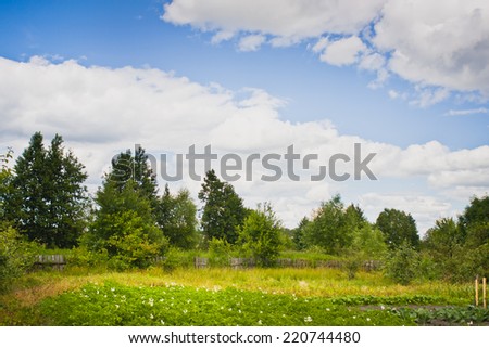Beautiful summer landscape with green