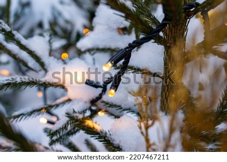 Luminous garland on Christmas tree. Christmas tree sprinkled with snow on street outdoors close up
