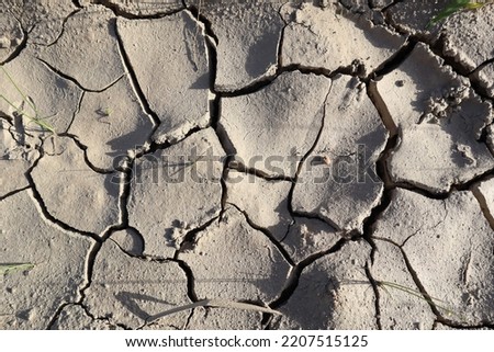 A picture of cracked soil, dry land, drought, drought.