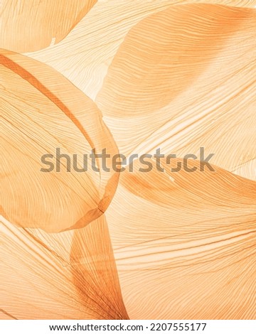 Nature abstract of flower petals, beige transparent leaves with natural texture as natural background or wallpaper. Macro texture, neutral color aesthetic photo with veins of leaf, botanical design. Royalty-Free Stock Photo #2207555177