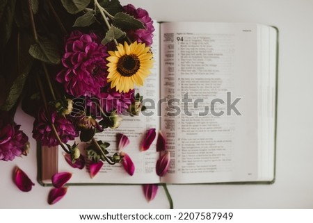 amazing pink flowers on book page