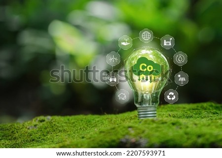 light bulb against nature with icons energy sources for renewable Sustainable development and business based on renewable energy. Reduce CO2 emission concept. green business based on renewable energy.