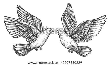 Pair of flying doves in love. Pigeon with spread wings. Bird animal sketch. Hand drawn vector vintage illustration Royalty-Free Stock Photo #2207630229