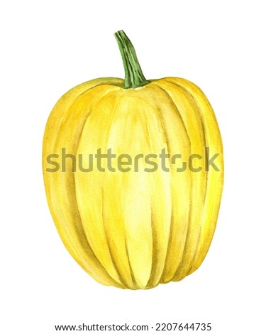 Beautiful pumpkins on an isolated white background. Watercolor illustration. Hand-drawn. Perfect for cards or posters for Thanksgiving, Halloween, Farmer's Festival.