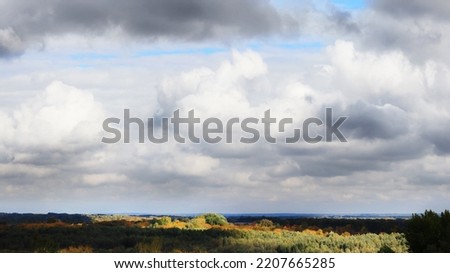 Autumn forest under cloudy sky panorama view