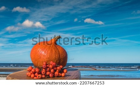 Autumnal subject image with close up of ripe pumpkin and bunch of rowan berry, blurred sandy beach of the Baltic Sea. Selective focus on body of pumpkin and berries of rowan