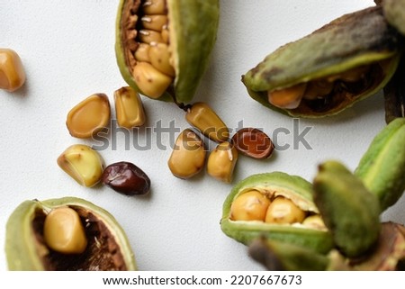 Peony seeds in green baskets on a white background. Flower seeds in baskets. Sunflower closeup.
