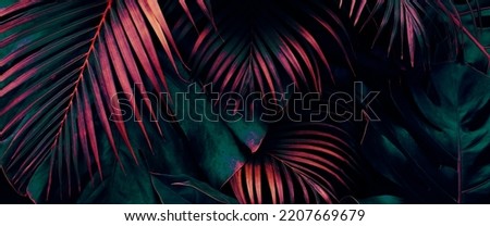 Tropical leaves, dark jungle background, color toned Royalty-Free Stock Photo #2207669679