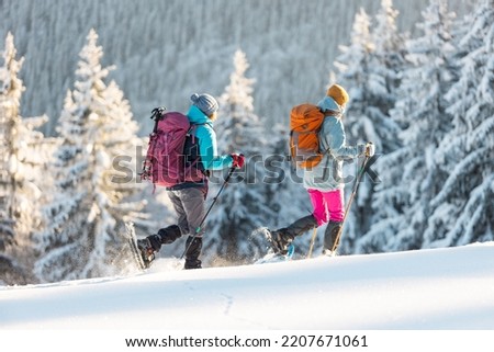 Two women walk in snowshoes in the snow, winter trekking, two people in the mountains in winter, hiking equipment Royalty-Free Stock Photo #2207671061