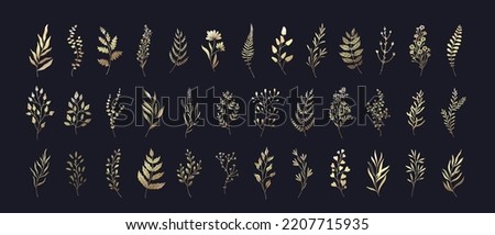 Set of floral branches and leaves. Botanical blooming. Vector ornamental herbs for logo or tattoo. Hand drawn line wedding herb, elegant wildflowers. Wedding design elements. Royalty-Free Stock Photo #2207715935