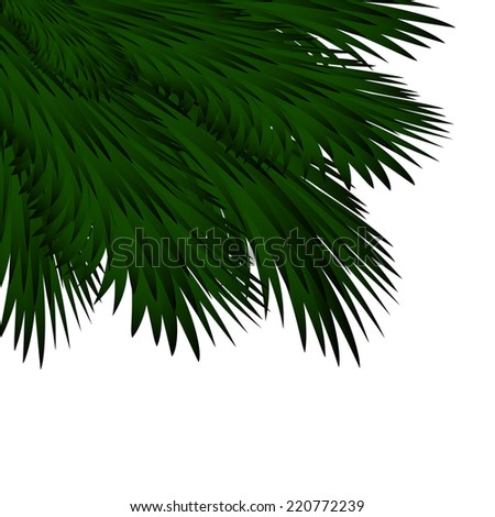 Christmas background with spruce branches