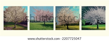 set of vector background with spring apple blossom. Flowering branch spring with falling petals. pink flowering cherry trees. Cherry blossom background. Japanese flower tree sakura.