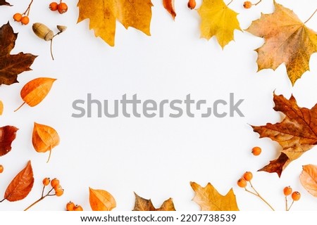 Isolated leaves, Collection of multicolored fallen autumn leaves isolated on white background, Autumn orange leaf falling down Isolated on white background, top view with copy space, Autumn background