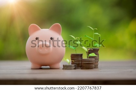 Money coin stack growing graph with piggy bank saving concept. business finance and saving money investment, plant growing up on coin. Balance savings and investment. save retirement for interest idea
