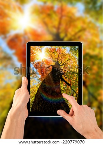 a tablet ps like ipades on the autumn backgrounds