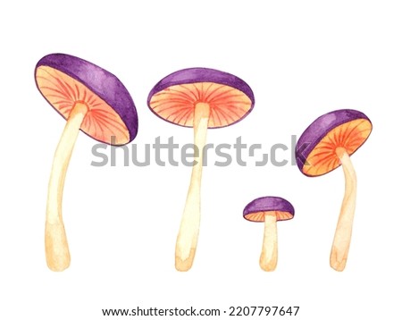 Watercolor mushrooms set. Lilac, purple and orange colors. Hand draw clip art isolated on white. 