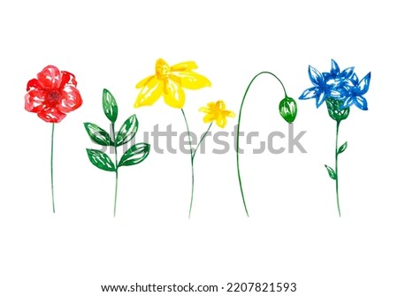 Watercolor wildflowers floral collection isolated on white. Delicate flowers and leaves clip art set. Botanical field flowers design elements.