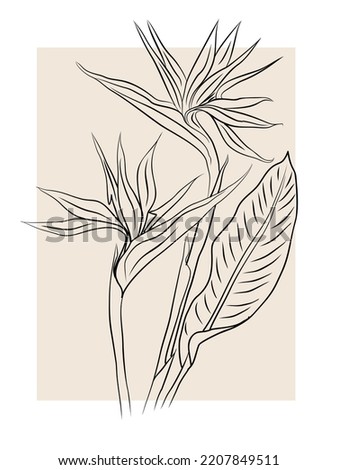 Botanical wall art. Nordic scandinavian line art drawing. Abstract Plant Art design for print, cover, wallpaper, tattoo, logo, packaging. Minimal natural wall decor. Beige black vector illustration.