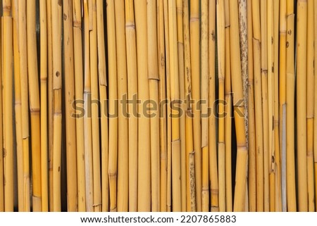 Bamboo pattern. Vertical bamboo fence background photo.