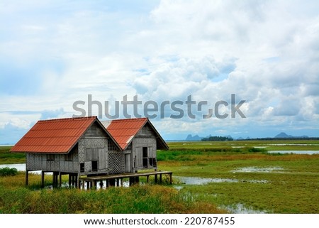 Twin house on wetland can see by pullover on the road  and take picture  can feel relax  location at southern Thailand.