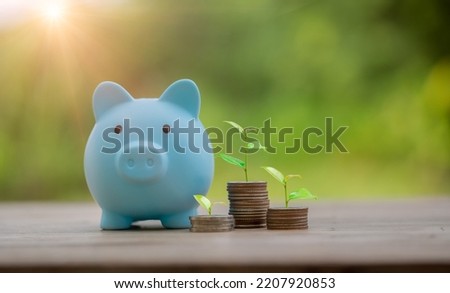 Money coin stack growing graph with piggy bank saving concept. business finance and saving money investment, plant growing up on coin. Balance savings and investment. save retirement for interest idea