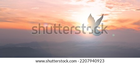 Doves fly in the sky. Christians have faith in Holy Spirit. silhouette worship to god with love Faith, Spirit and jesus christ. Christian praying for peace. Concept of worship in Christianity. Royalty-Free Stock Photo #2207940923
