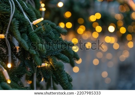 Simple garland on Christmas tree branch outdoors. Christmas festive decor for winter holidays. New Year's lights of garland on branches and needles