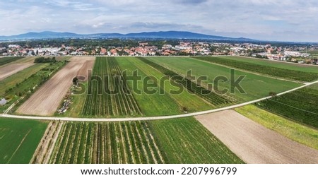 Wine region Burgenland near the lake Neusiedl.  Beautiful panoramic view of Austria. Royalty-Free Stock Photo #2207996799