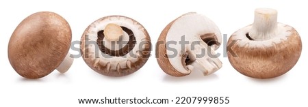 Brown cap champignons or agaricus mushrooms isolated on white background. Close-up. Royalty-Free Stock Photo #2207999855