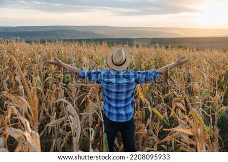 Back view a young farmer raised his hands up, standing in a field with corn. Background clear sky and corn field.