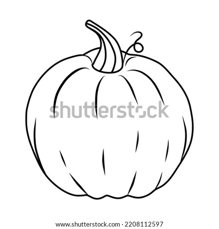 pumpkin drawing suitable for coloring book. outline pumpkins sketch, gourds different types, shapes and sizes. Vector isolated illustration for halloween, thanksgiving day
