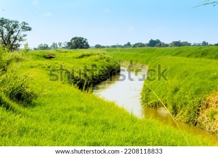 beautiful landscape of small river in nature on sunny day outdoors on the outskirts of the city in Colombia Cali, with beautiful blue sky.