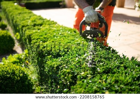 Home and garden concept. Hedge trimmer in action. Shrub trimming work. Shrub pruning. Gardening and trimming activities. Great detail of the cut leaves splashing. Royalty-Free Stock Photo #2208158765