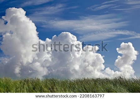 Volumetric clouds in the blue sky and green field grass. Natural background Royalty-Free Stock Photo #2208163797