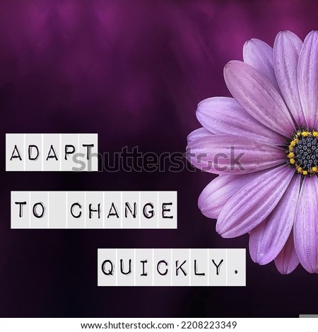 motivational quotes on a purple background  adapt to change quickly 