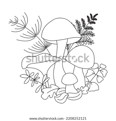 Edible and poisonous mushrooms with grass and leaves, painted by black liner in hands. Idea for learning, coloring, poster and children's art.  Black and white hand drawing.