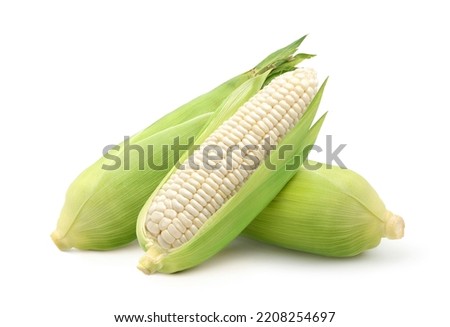 Fresh white corn isolated on white background. Clipping path. Royalty-Free Stock Photo #2208254697
