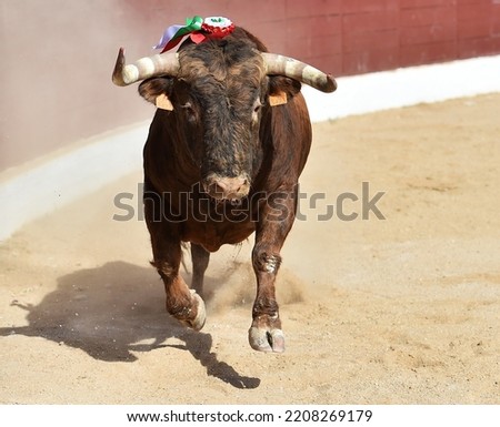 A dangerous bull in the spanish spectacle of bullfight Royalty-Free Stock Photo #2208269179