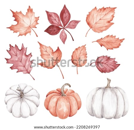 Fall set isolated on white background. Autumn set for designing cards, banners, invitations. Orange, red falling leaves, white, orange pumpkins