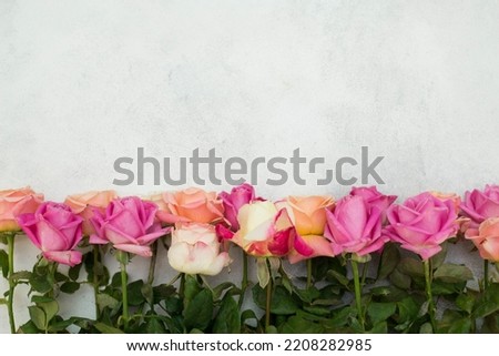 a border of roses on a gray background.