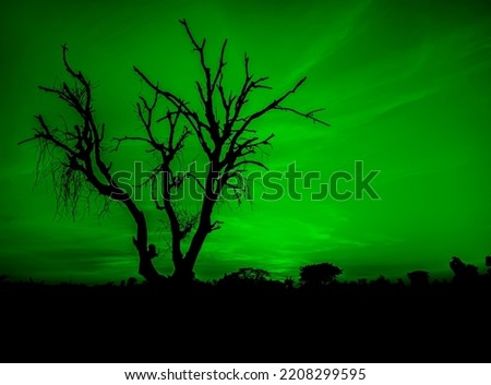 Leafless dry black tree with spooky dark green sky. scary horror tree nature background for theme