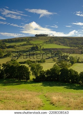 The view to The Cleveland Way National Trail from Bolyby in the North York Moors national Park in North Yorkshire. Royalty-Free Stock Photo #2208338163
