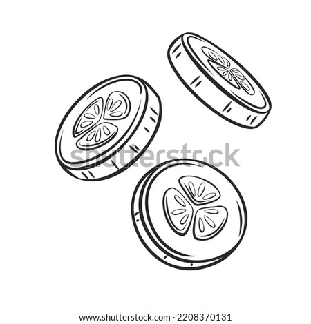 Outline falling cucumber slice vector illustration. Royalty-Free Stock Photo #2208370131