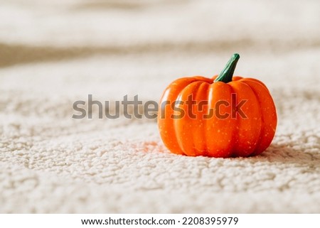 Pumpkin on the light background in cozy hygge style image with copy space for text. Fall and autumn season, thanksgiving time